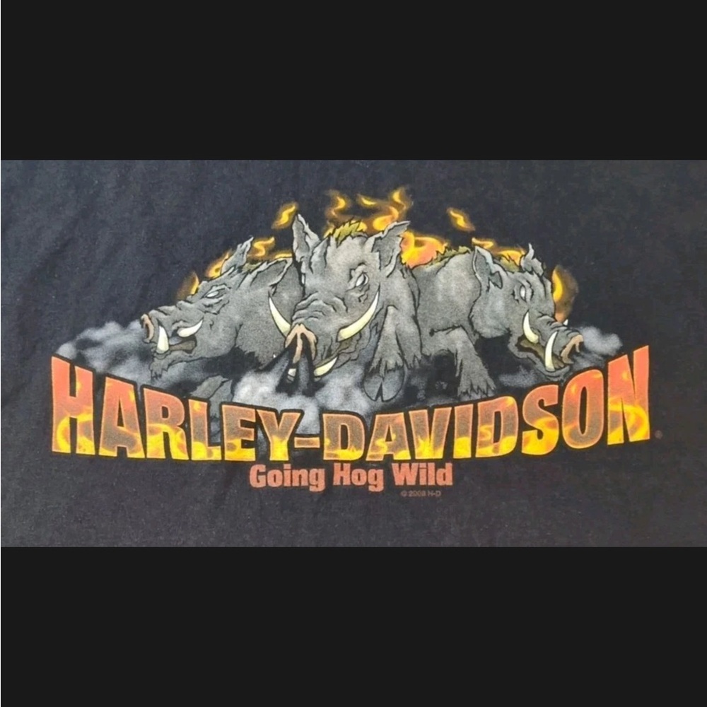 Vintage Bumpus Harley Davidson Shirt Size 2XL Hogan Wild Tennessee - Picture 2 of 8